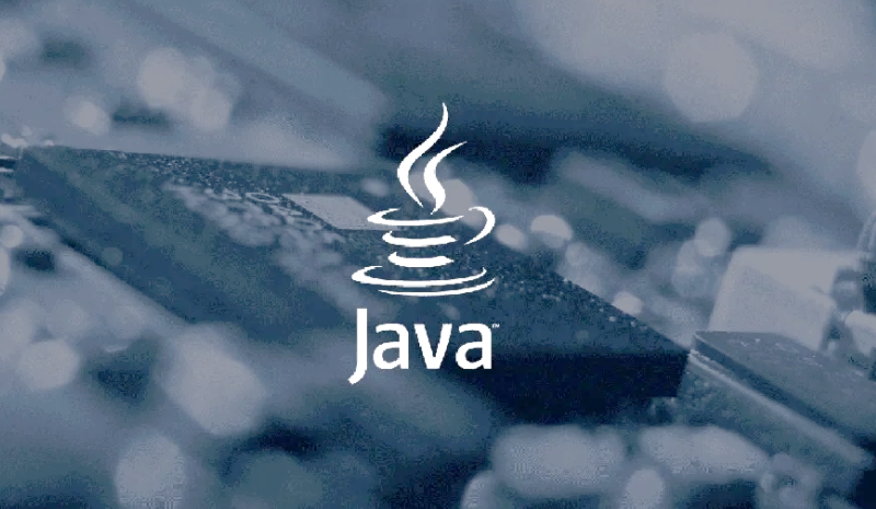 java怎么输入变量的值和数据 java输入变量的值和数据的区别