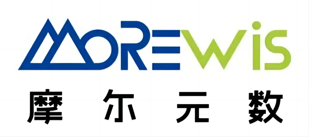 摩尔元数
