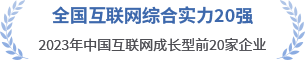 全国互联网综合实力20强