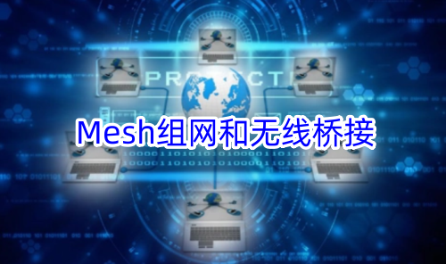Mesh组网和无线桥接