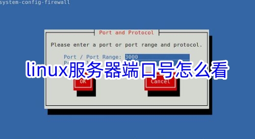 linux怎么看远程端口号