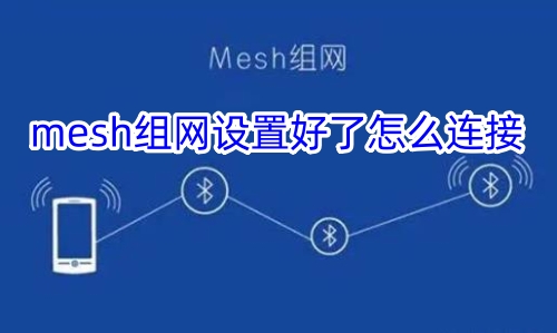 mesh组网设置好了怎么连接