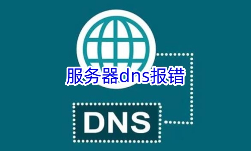 服务器dns报错