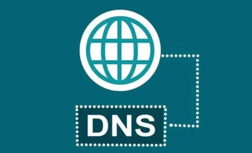 dns服务器