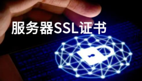 服务器SSL证书信息