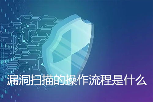 漏洞扫描的操作流程是什么