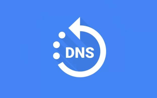 dns