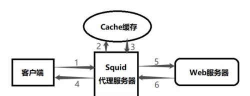 服务器缓存