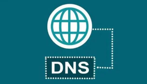 dns网络服务器