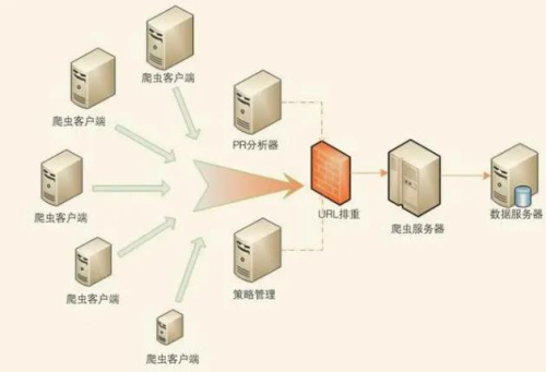 服务器ip和域名