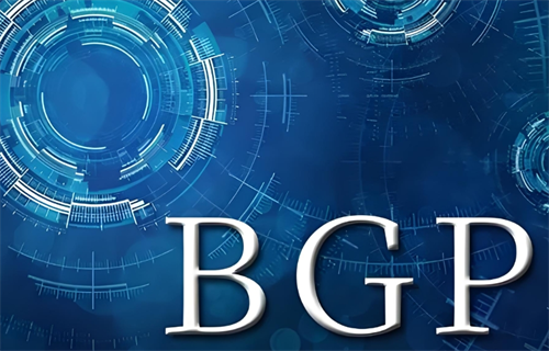 bgp高防服务器作用是什么