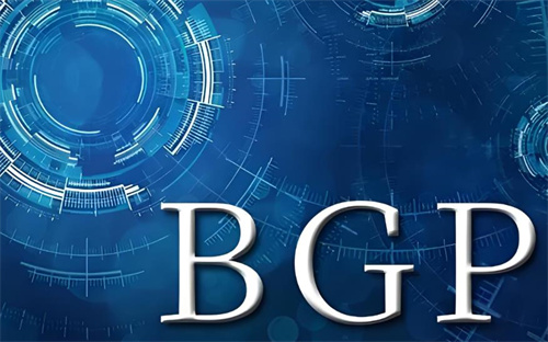 bgp高防服务器搭建步骤