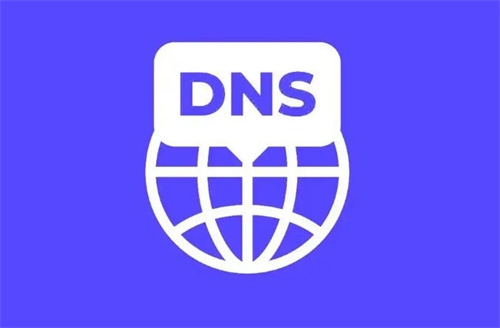 DNS服务器设置在哪