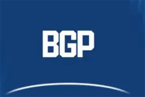 bgp高防服务器是什么
