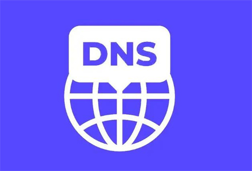 dns的服务器地址在哪看