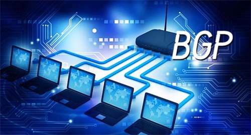 bgp一般用在哪里