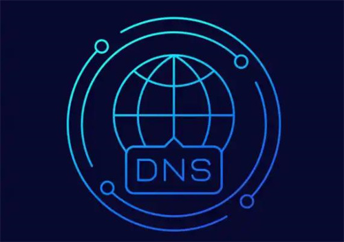 dns的服务器地址怎么查